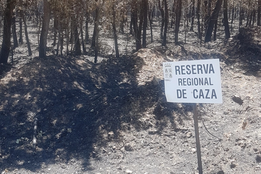 Catástrofe ambiental 
