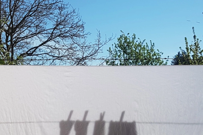 Sombras del pasado