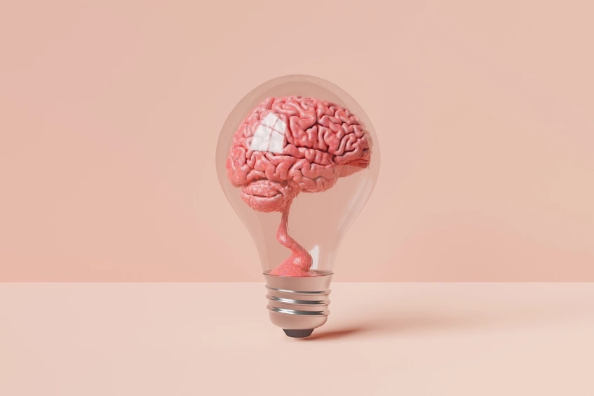 Cerebro bombilla