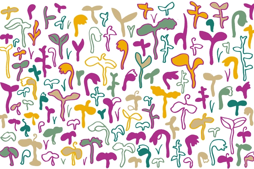 Plantas