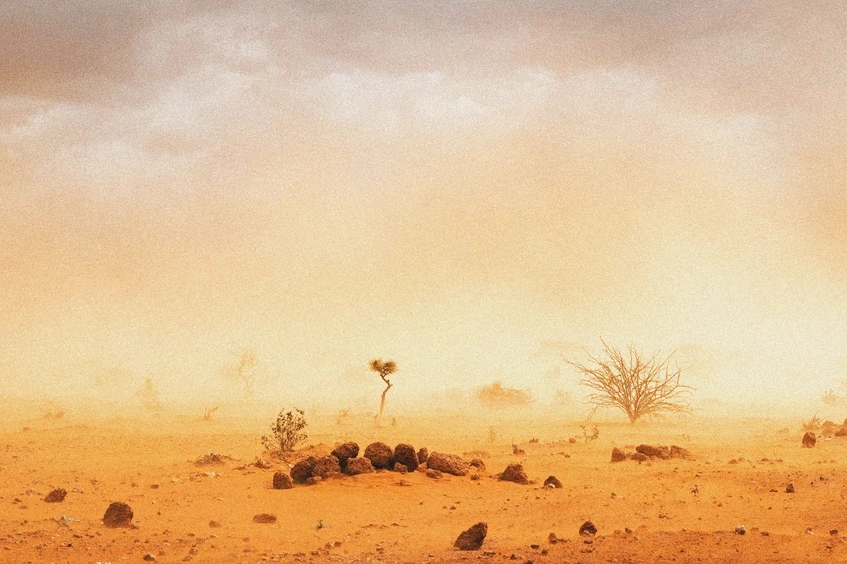 Dossier refugiados climáticos