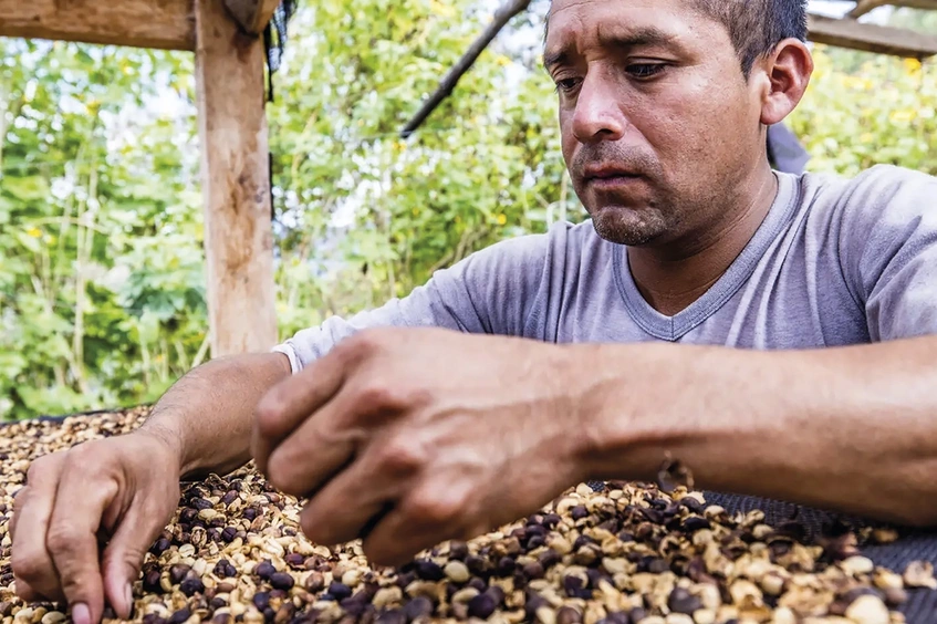 Trabajador de café