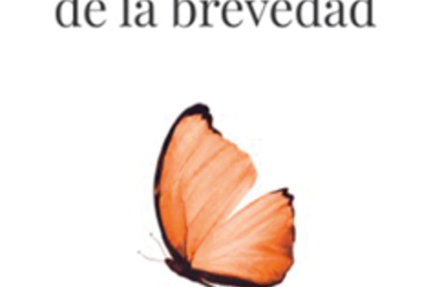 Breve elogio de la brevedad