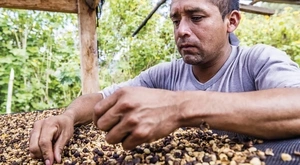 Trabajador de café